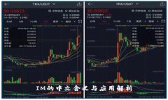 IM的中文含义与应用解析