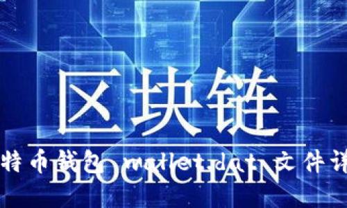 比特币钱包 wallet.dat 文件详解