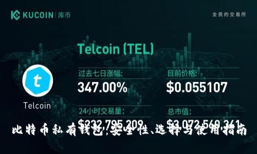 比特币私有钱包：安全性、选择与使用指南