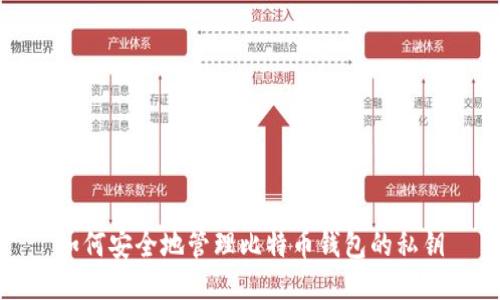 如何安全地管理比特币钱包的私钥