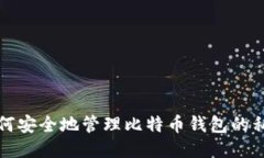如何安全地管理比特币钱包的私钥