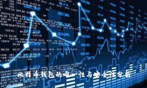 比特币钱包的唯一性与安全性分析