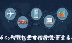   比特币Core钱包使用指南：是否需要翻墙？