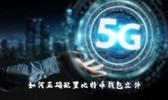 如何正确配置比特币钱包文件