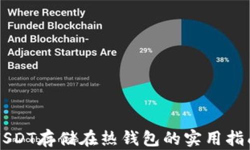 
USDT存储在热钱包的实用指南