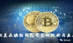 北美区块链钱包平台的现状与未来
