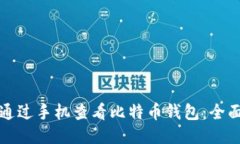 如何通过手机查看比特币钱包：全面指南