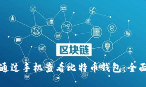 如何通过手机查看比特币钱包：全面指南