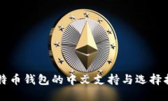 比特币钱包的中文支持与选择指南