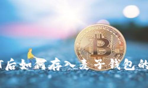 购买USDT后如何存入麦子钱包的详细指南