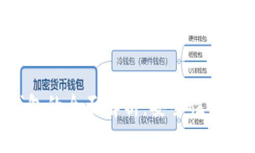 固态比特币钱包的全面解析：安全性、功能与发展趋势