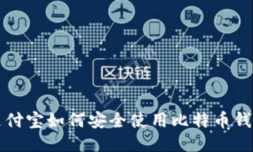支付宝如何安全使用比特币钱包