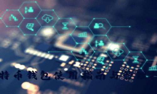 比特币钱包使用指南与管理技巧