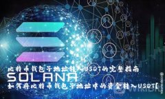 比特币钱包子地址转入USDT的完整指南如何将比特