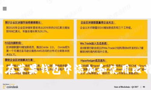 如何在苹果钱包中添加和使用比特币？