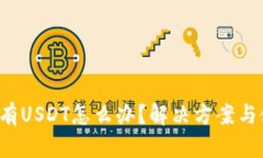  钱包只有USDT怎么办？解决方案与使用指南