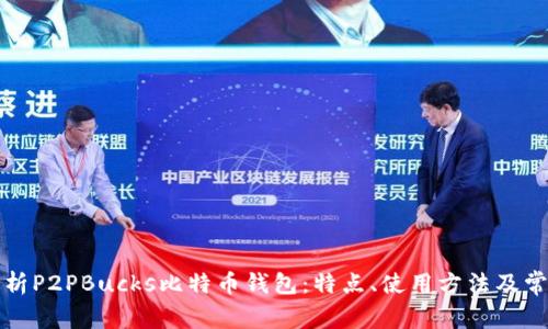 全面解析P2PBucks比特币钱包：特点、使用方法及常见问题