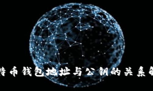 比特币钱包地址与公钥的关系解读