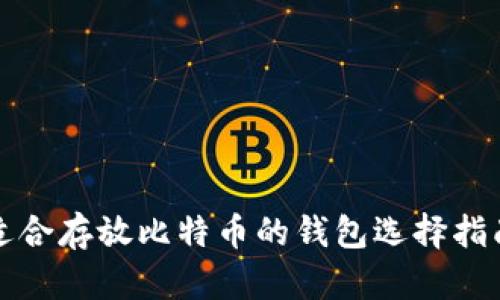 适合存放比特币的钱包选择指南
