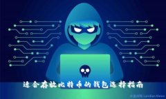 适合存放比特币的钱包选择指南