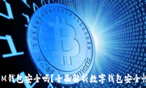   
IM钱包安全吗？全面解析数字钱包安全性