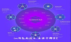 im钱包是什么，来源于哪里？