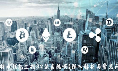 
比特币钱包支持32位系统吗？深入解析与常见问题
