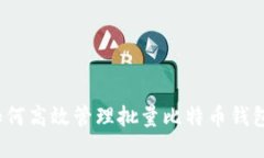 如何高效管理批量比特币钱包？