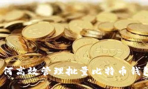 如何高效管理批量比特币钱包？
