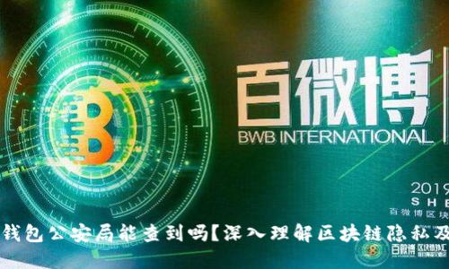 区块链钱包公安局能查到吗？深入理解区块链隐私及其监管