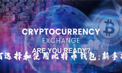 如何选择和使用比特币钱包：新手指南