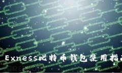 : Exness比特币钱包使用指南