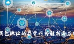 USDT钱包地址的异常行为解析与应对措施