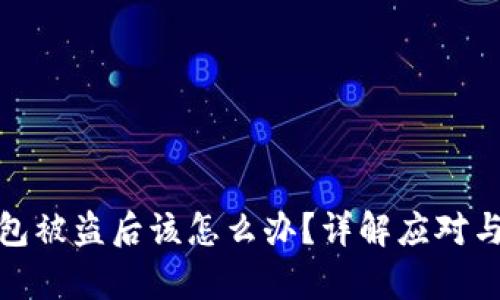比特币钱包被盗后该怎么办？详解应对与恢复措施
