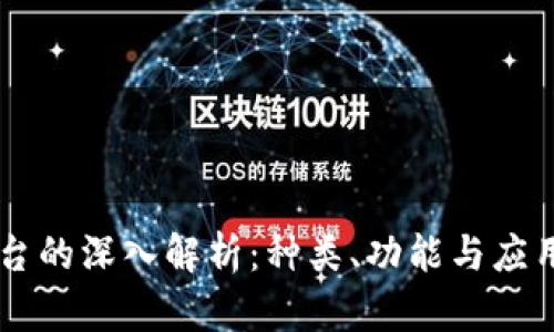 IM平台的深入解析：种类、功能与应用场景